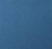 blau.JPG