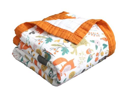 Fuchs_orange.JPG